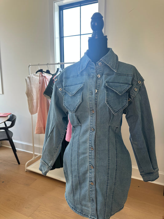 Sass Queen Jean Dress