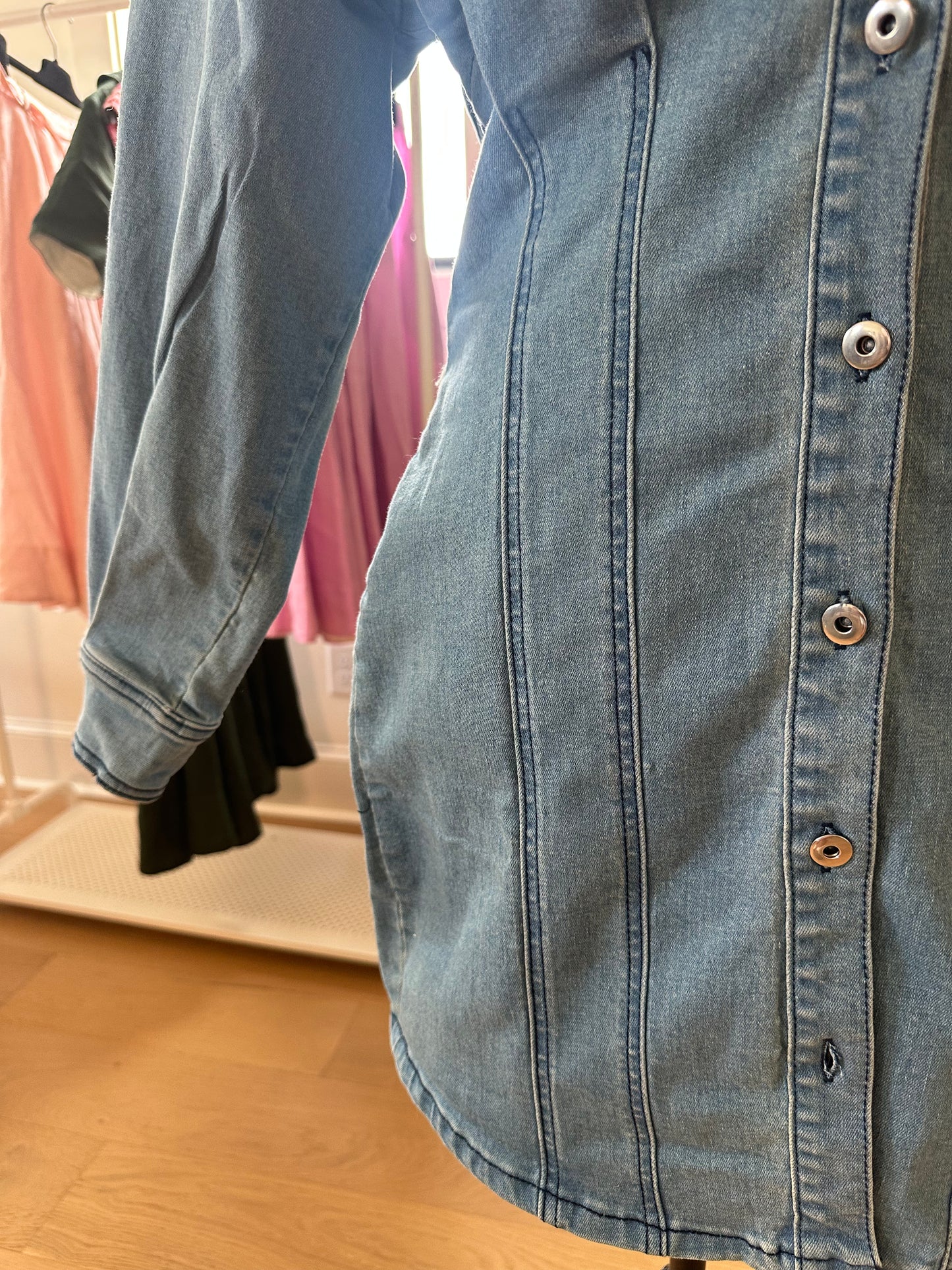 Sass Queen Jean Dress