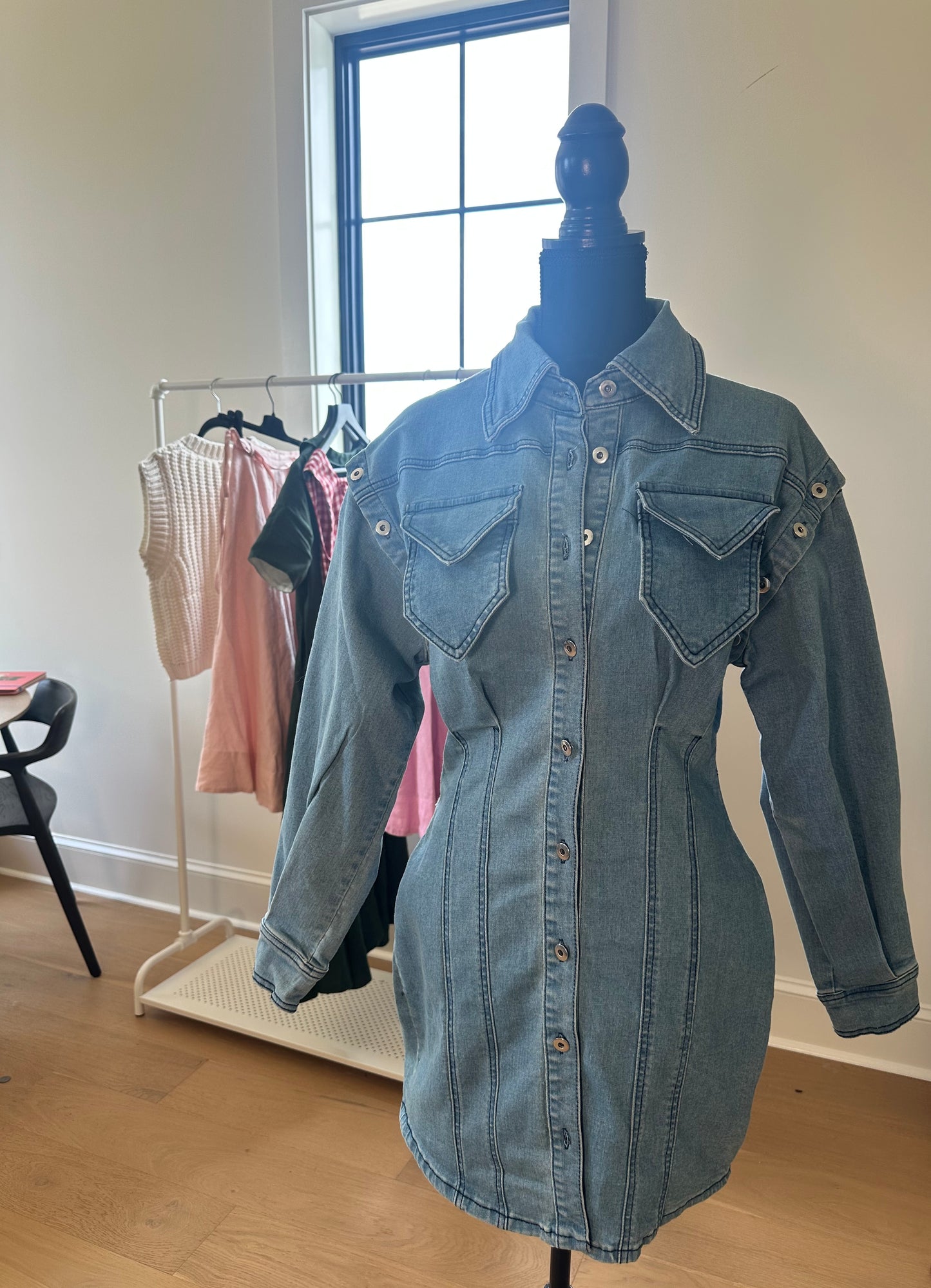 Sass Queen Jean Dress